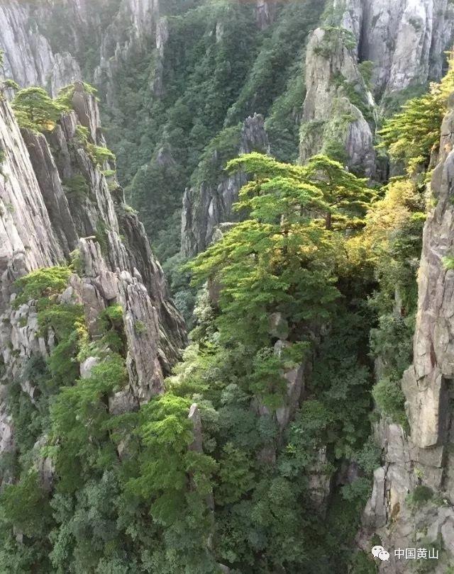 海滨浴场浮冰断裂 12人被困冰面全部获救
